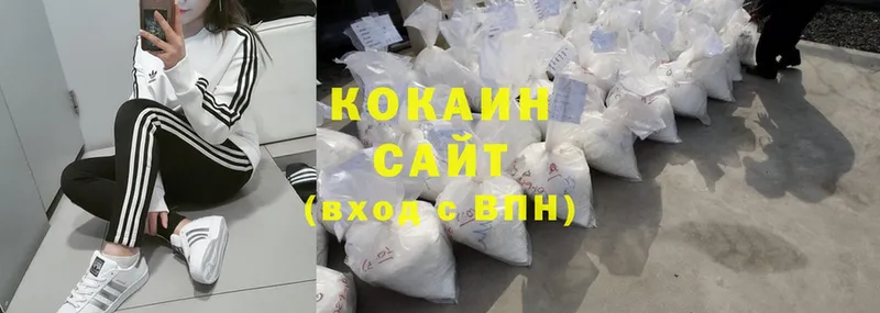 где купить наркотик  Электрогорск  Cocaine Эквадор 