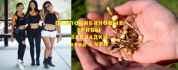 PSILOCYBIN Верея